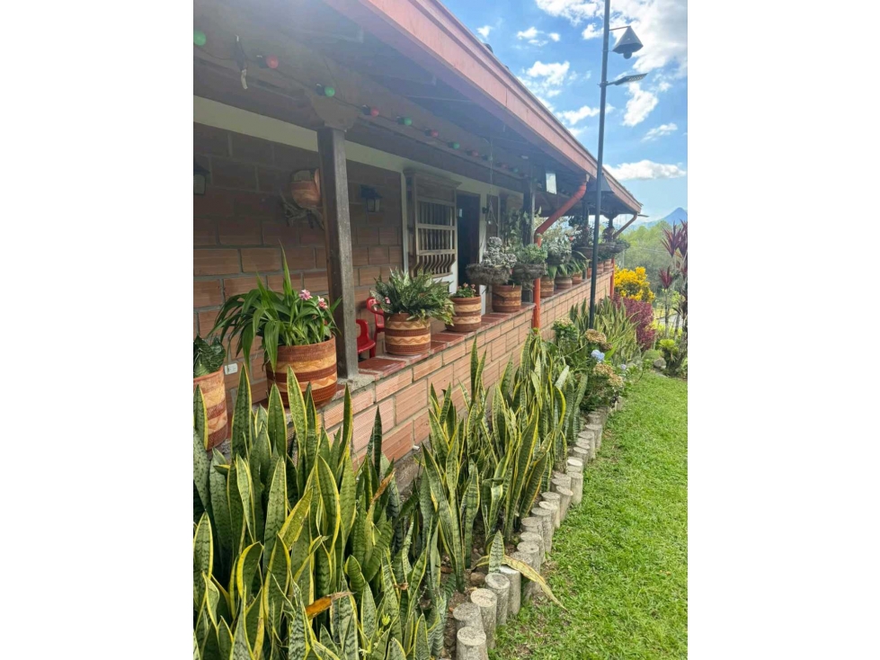 Venta finca de recreo en La Amalia, Venecia, Antioquia