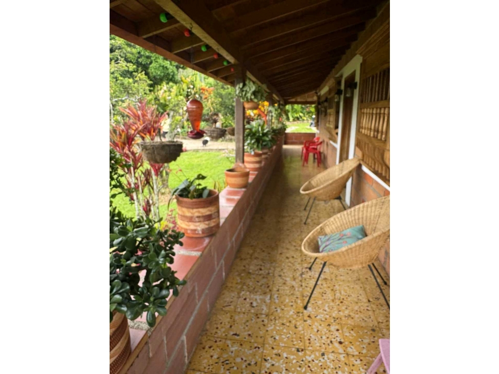 Venta finca de recreo en La Amalia, Venecia, Antioquia — foto 2