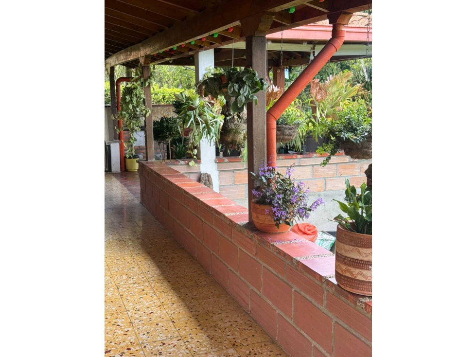 Venta finca de recreo en La Amalia, Venecia, Antioquia — foto 4