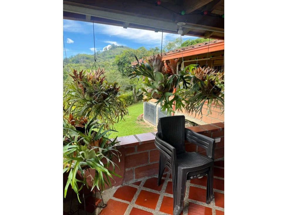 Venta finca de recreo en La Amalia, Venecia, Antioquia — foto 6