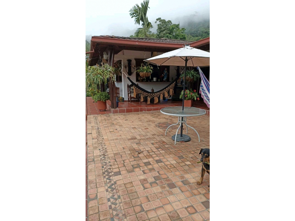 VENTA FINCA DE RECREO VÍA TITIRIBÍ ALBANIA.EN ANTIOQUIA. (BJ) MEDELLÍN — foto 2