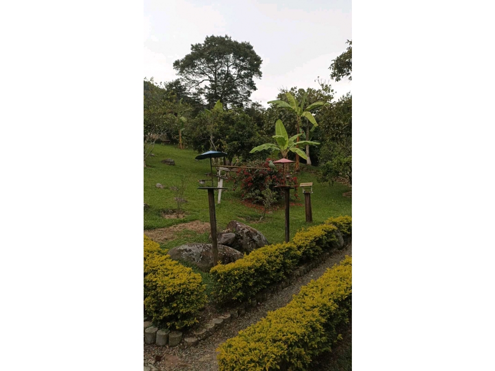 VENTA FINCA DE RECREO VÍA TITIRIBÍ ALBANIA.EN ANTIOQUIA. (BJ) MEDELLÍN — foto 6