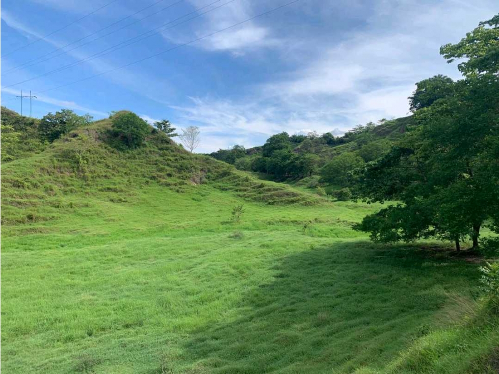 Venta finca Doradal via San Miguel (la parte la vía veredal) - 1