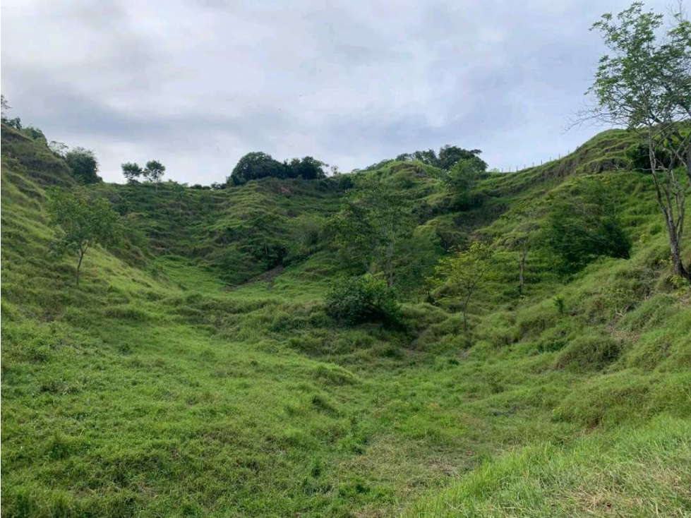 Venta finca Doradal via San Miguel (la parte la vía veredal) - 2