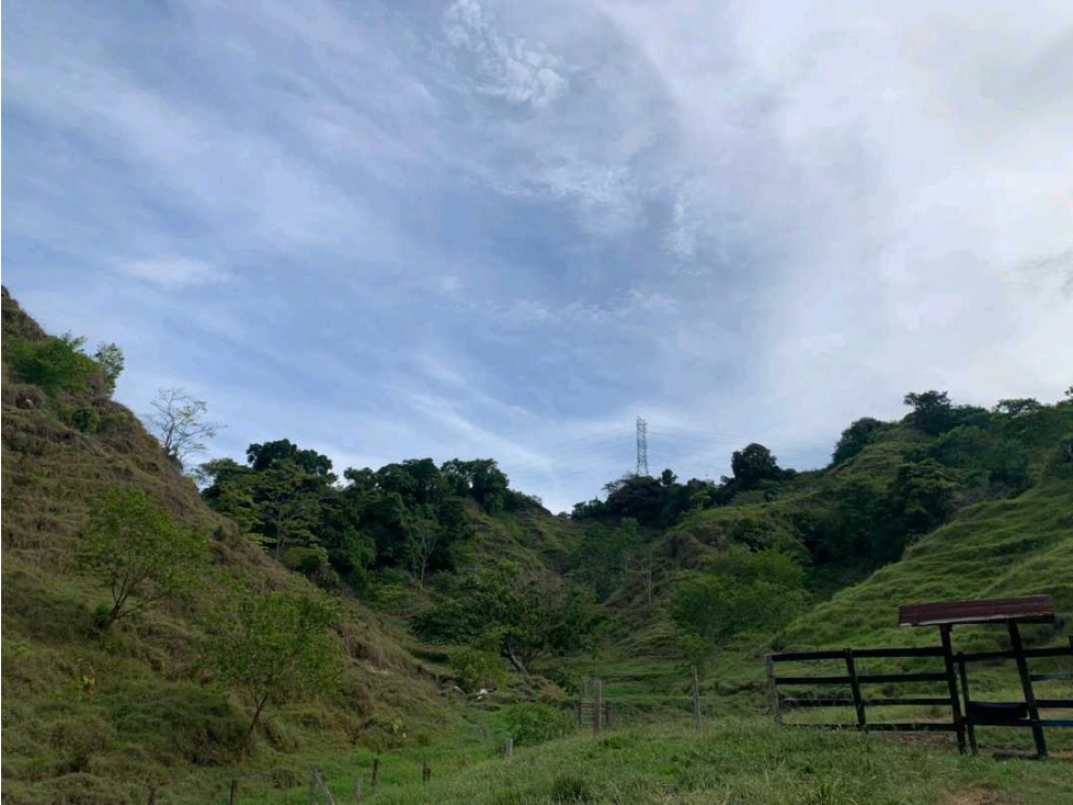 Venta finca Doradal via San Miguel (la parte la vía veredal) - 3