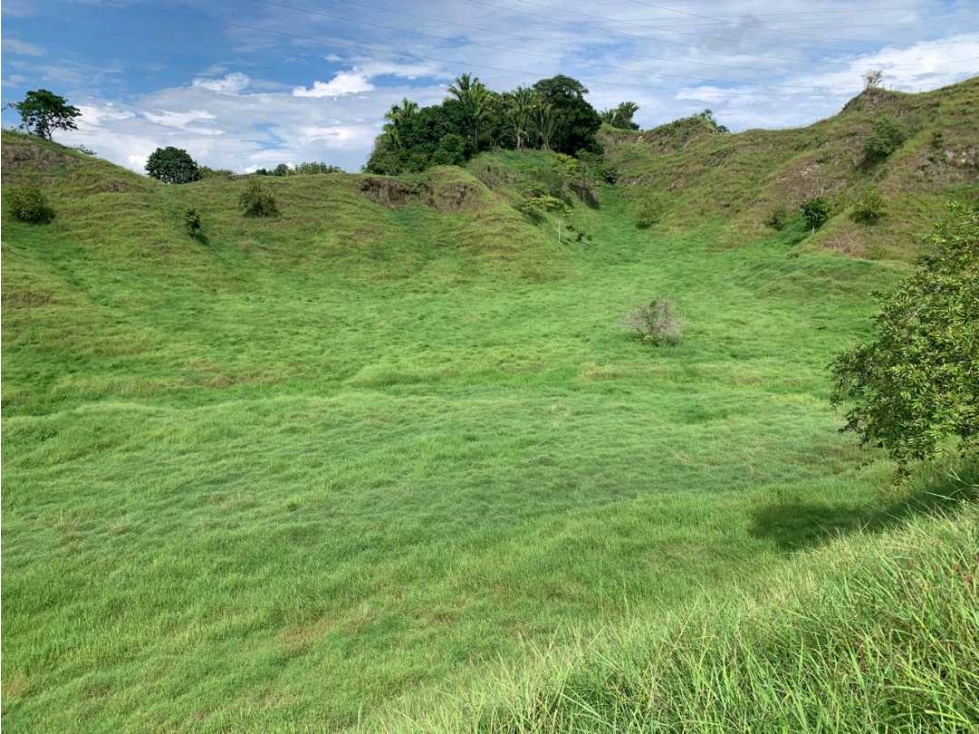 Venta finca Doradal via San Miguel (la parte la vía veredal) - 5