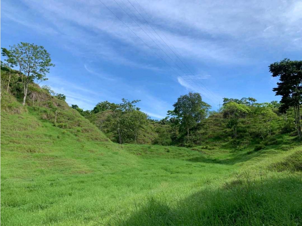 Venta finca Doradal via San Miguel (la parte la vía veredal) - 6