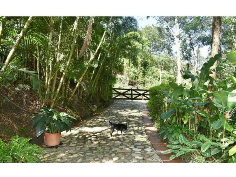 Venta Finca a 4 Km de Girardota — foto 4