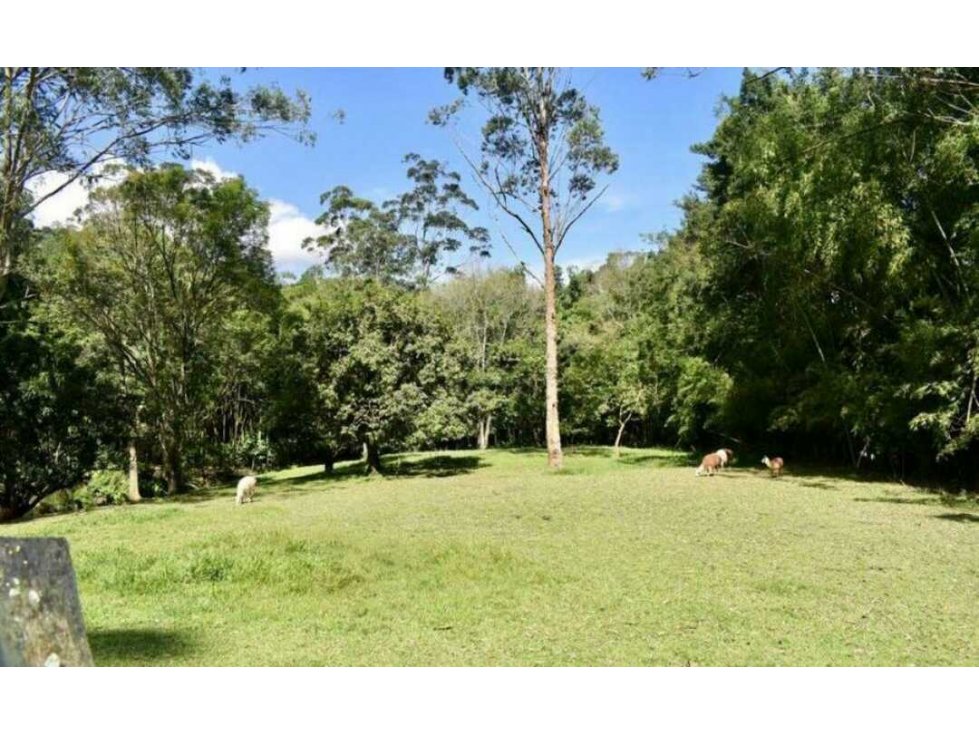Venta Finca a 4 Km de Girardota — foto 5