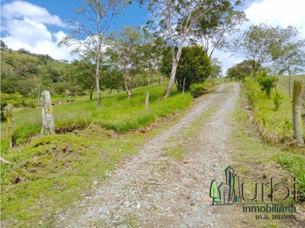 VENTA FINCA EL PARAÍSO - MONIQUIRA - 1