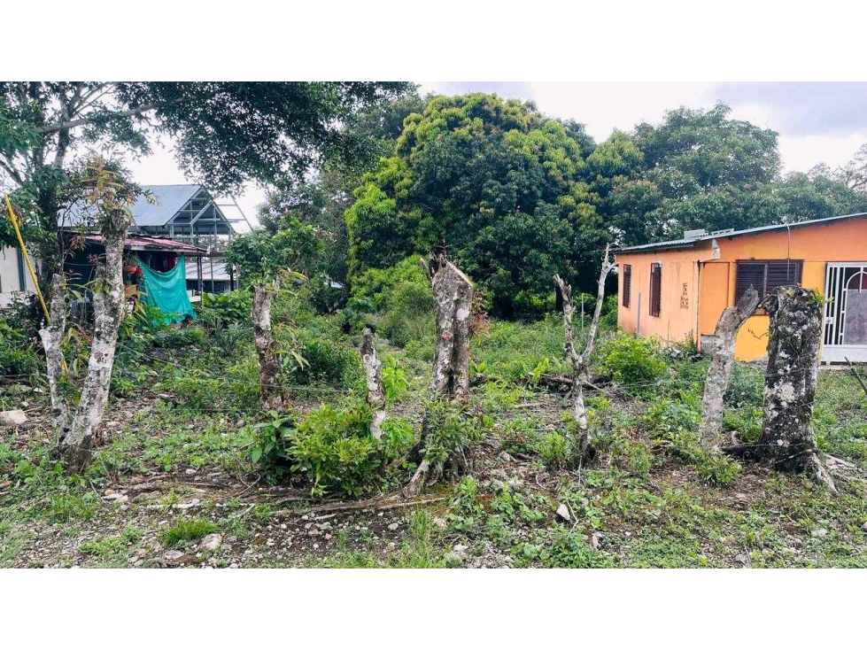 VENTA FINCA EN BOQUETE BRISAS BOQUETEÑAS A PASOS DE LA INTERAMERICANA - 1