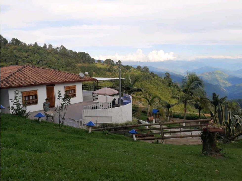 Venta finca en fredonia - 2
