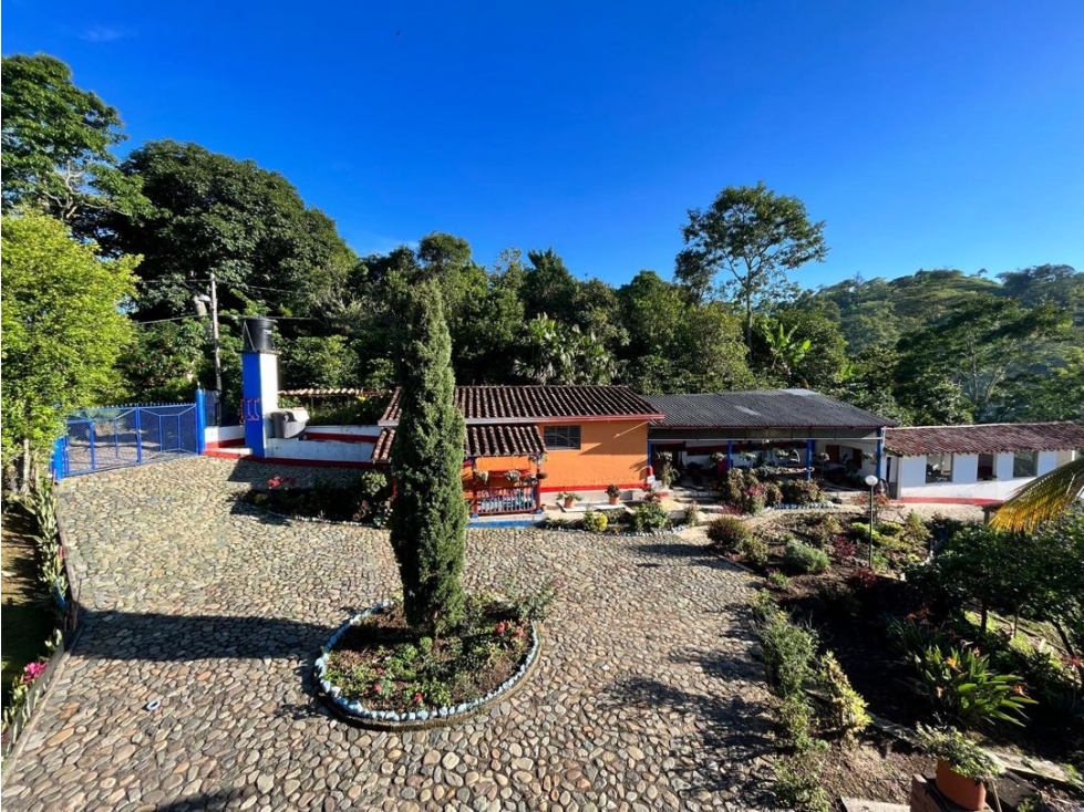 Venta Finca en Fredonia vereda Murrapal - 1