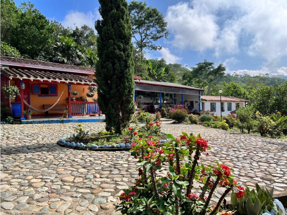 Venta Finca en Fredonia vereda Murrapal - 2