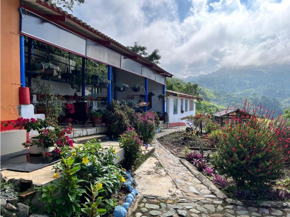 Venta Finca en Fredonia vereda Murrapal - 4