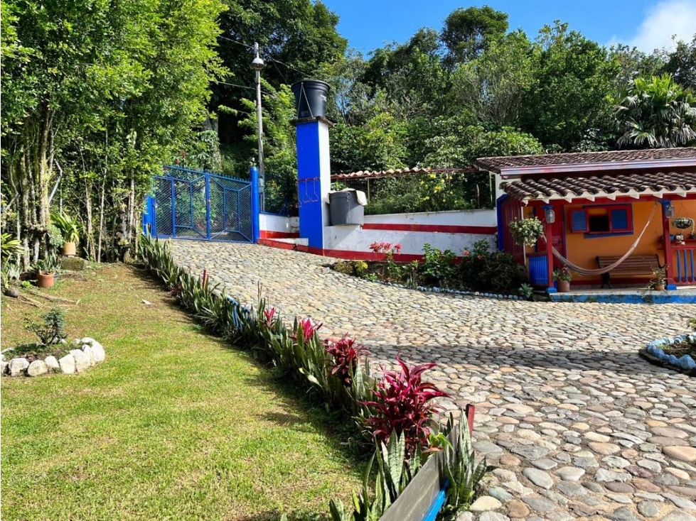 Venta Finca en Fredonia vereda Murrapal - 5