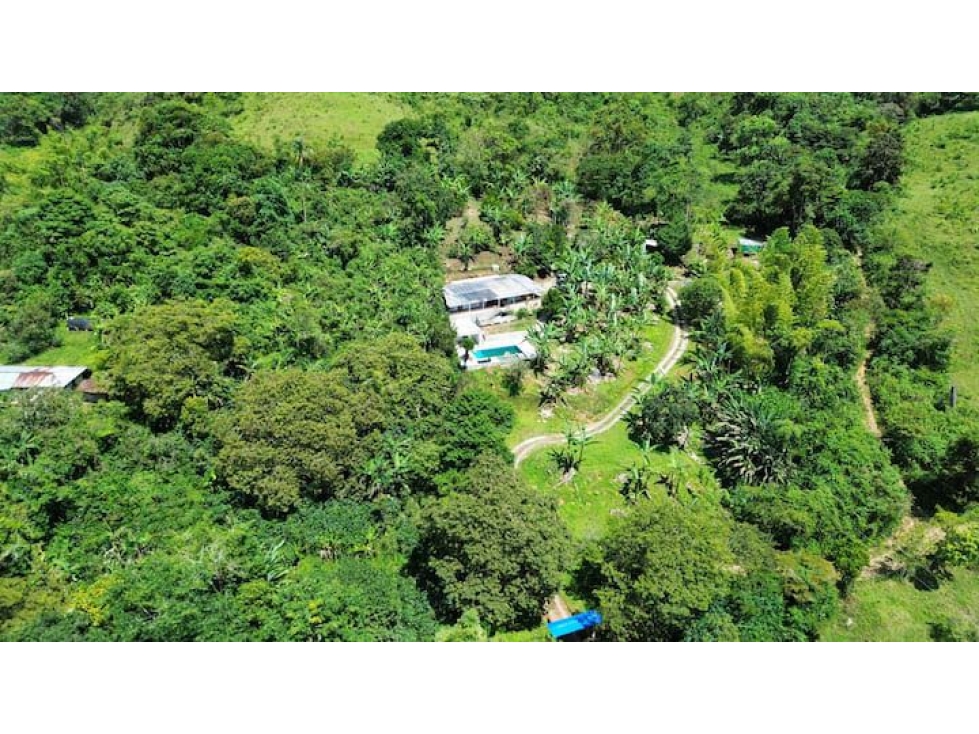 VENTA FINCA EN GUACARI- VALLE DEL CAUCA CCH - 2