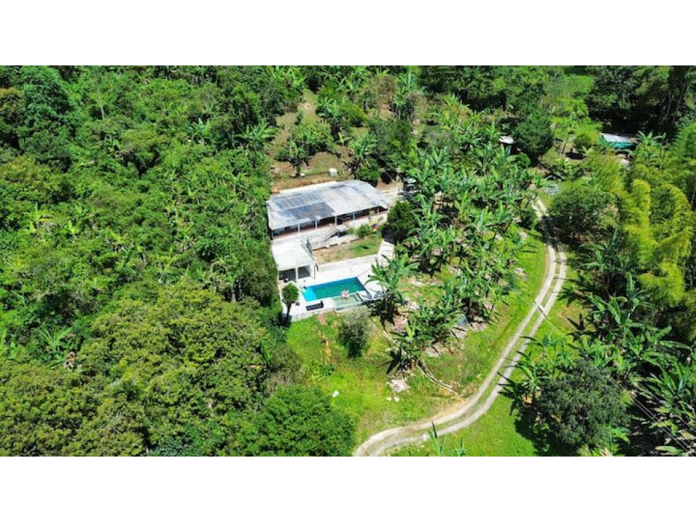 VENTA FINCA EN GUACARI- VALLE DEL CAUCA CCH - 3