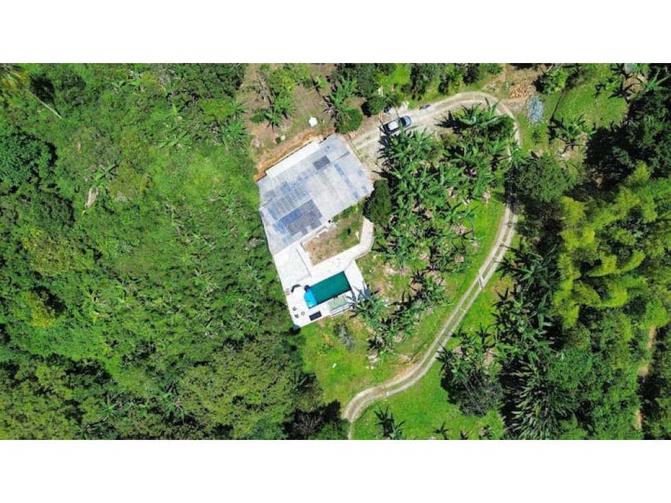 VENTA FINCA EN GUACARI- VALLE DEL CAUCA CCH - 4