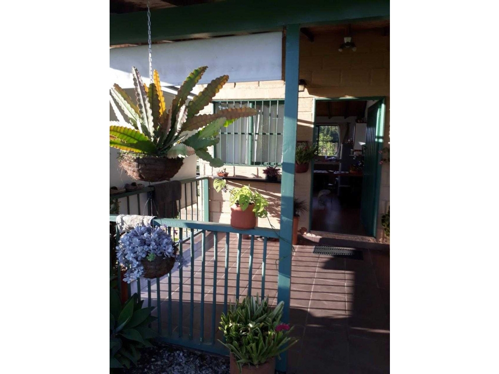 Venta Finca 10400m2 POT 3 casas Campo Alegre Marinilla cerca ALUNA — foto 4