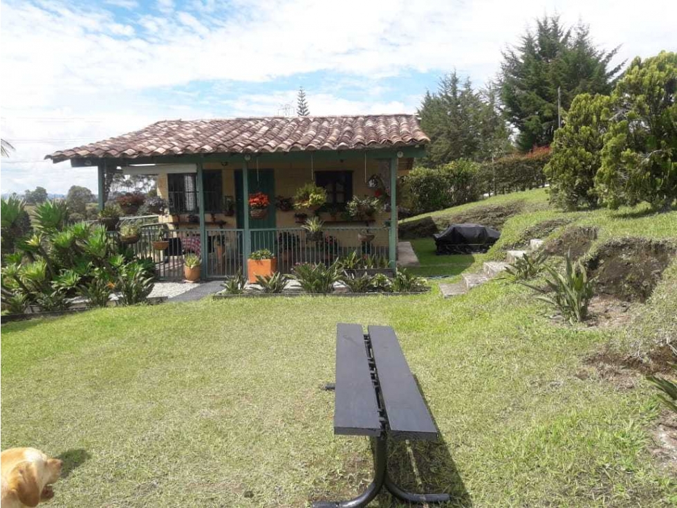 Venta Finca 10400m2 POT 3 casas Campo Alegre Marinilla cerca ALUNA — foto 6