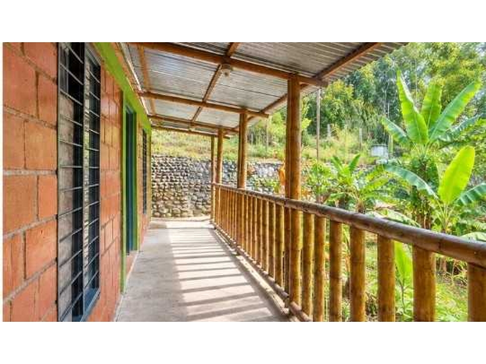 VENTA FINCA EN QUEREMAL VEREDA MACHADO A 30 MIN. DEL PARQUE LL10480129 — foto 5