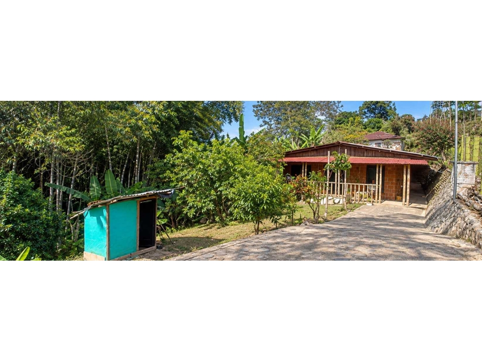 VENTA FINCA EN QUEREMAL VEREDA MACHADO A 30 MIN. DEL PARQUE LL10480129 — foto 2