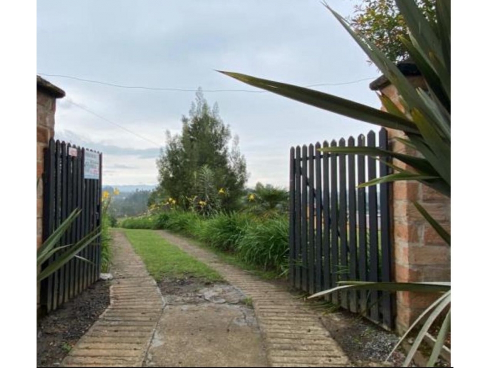 VENTA FINCA EN RIONEGRO-CON CERTIFICADO DE ICA-EXPORTACIÓN-16.000 MT2 — foto 2