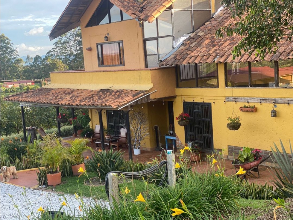 VENTA FINCA EN RIONEGRO-CON CERTIFICADO DE ICA-EXPORTACIÓN-16.000 MT2 — foto 3