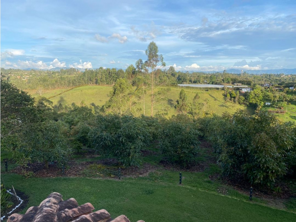VENTA FINCA EN RIONEGRO-CON CERTIFICADO DE ICA-EXPORTACIÓN-16.000 MT2 — foto 6