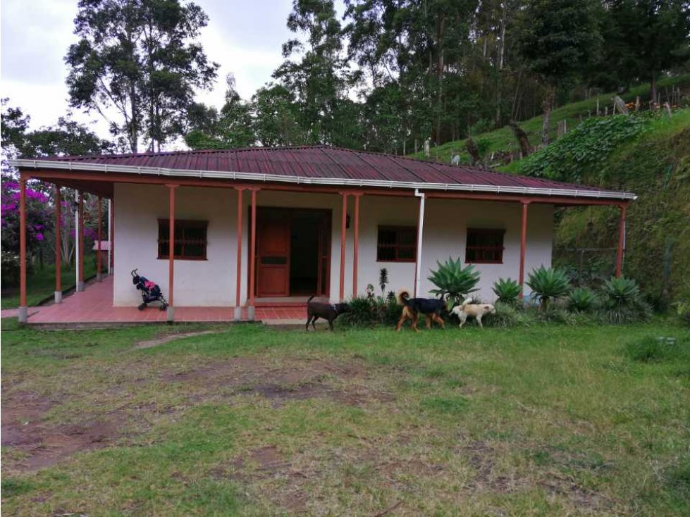 VENTA FINCA EN SALENTO QUINDÍO - 1