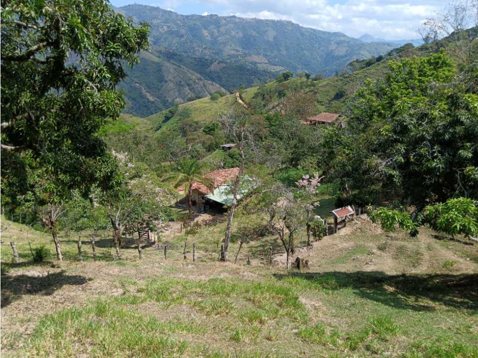 Venta finca en Santa Bárbara Poblanco en el suroeste antioqueña - 1