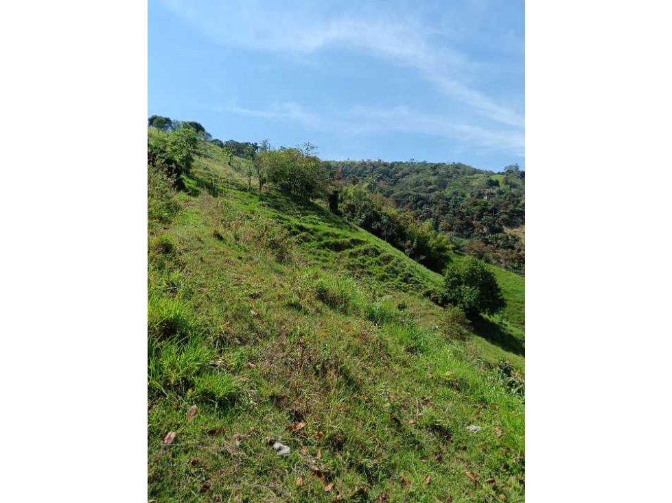 Venta finca en Santa Bárbara Poblanco en el suroeste antioqueña - 2