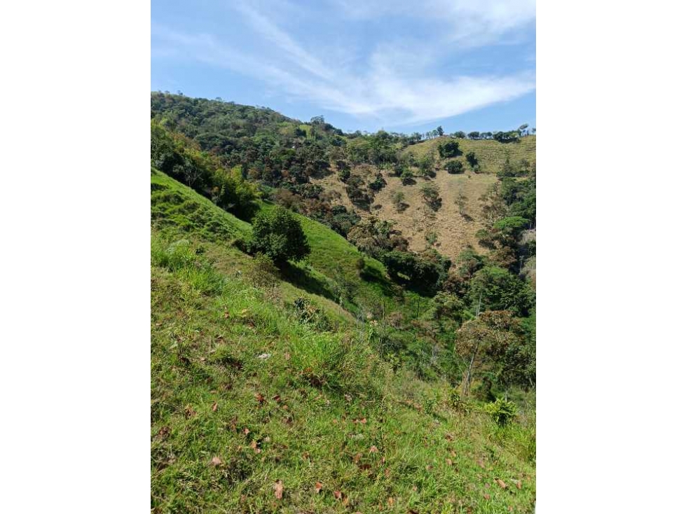 Venta finca en Santa Bárbara Poblanco en el suroeste antioqueña - 3