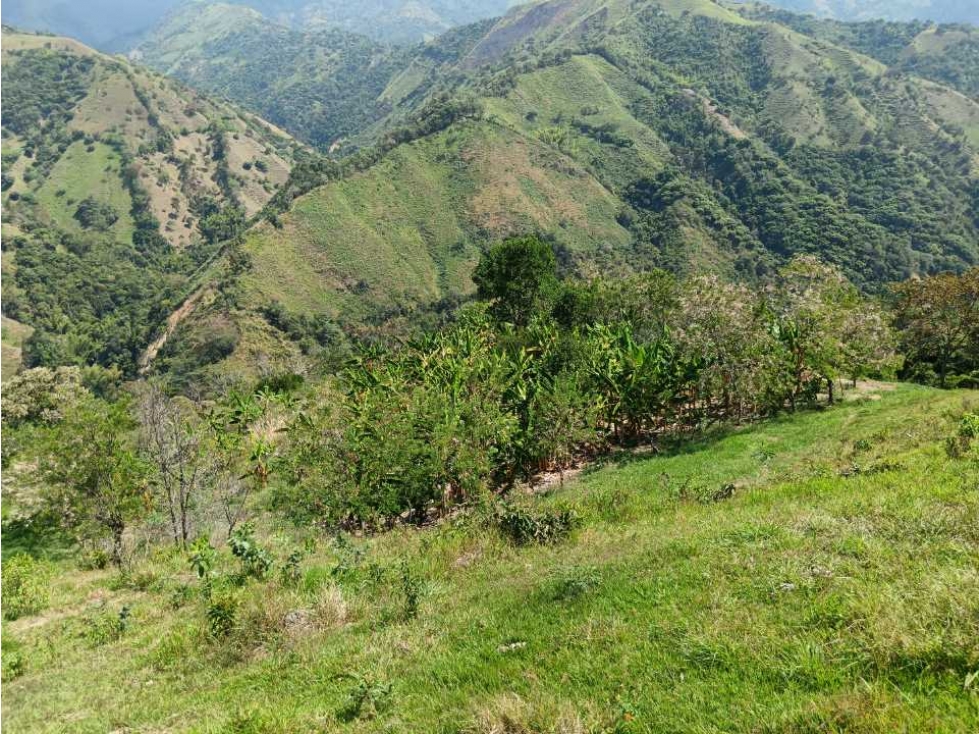 Venta finca en Santa Bárbara Poblanco en el suroeste antioqueña - 5