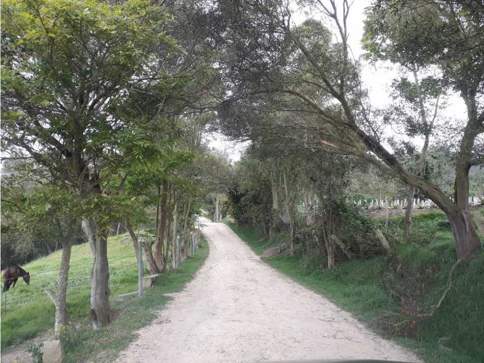 Venta Finca con Uso MIXTO en SIBATE, 10 HAS. YG - 1