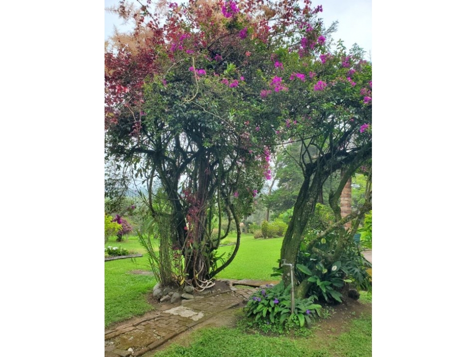 Venta finca en Sotara- Cauca. Cerca de Popayán - 3