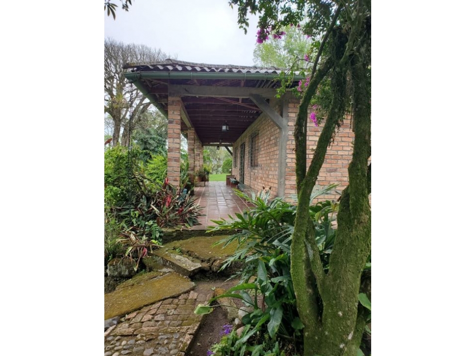 Venta finca en Sotara- Cauca. Cerca de Popayán - 4
