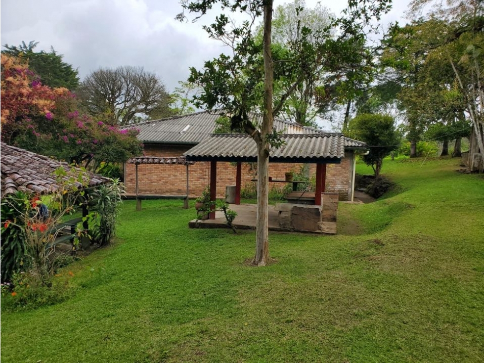 Venta finca en Sotara- Cauca. Cerca de Popayán - 6