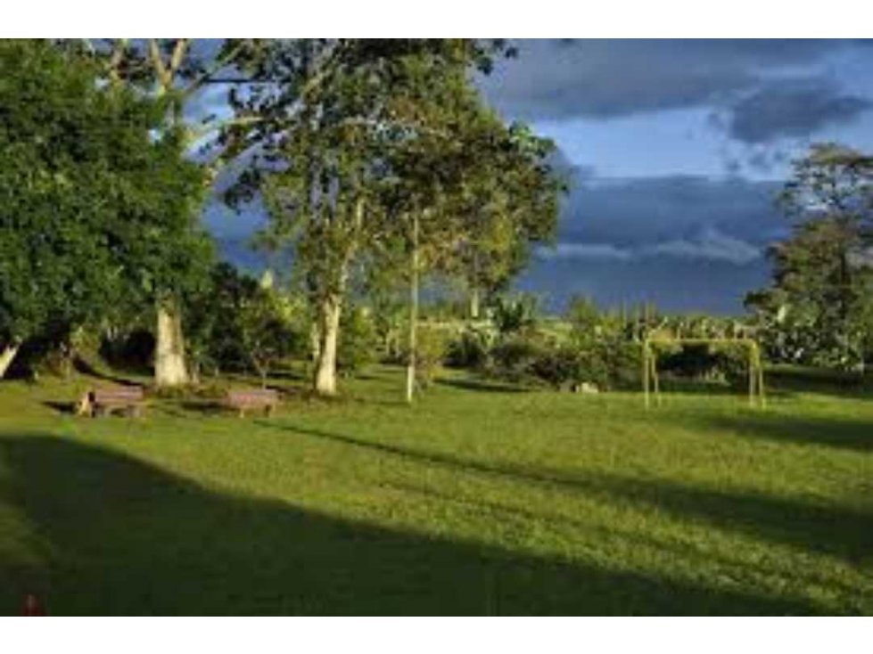 VENTA FINCA HOTEL VÍA CIRCASIA -MONTENEGRO — foto 5