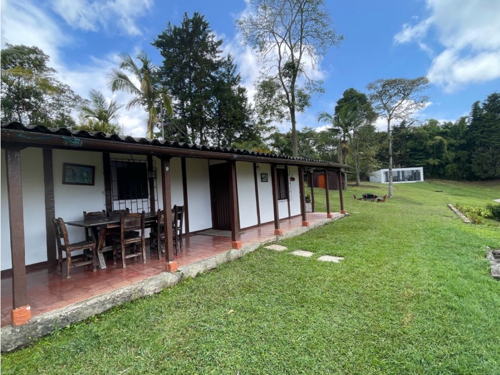 VENTA FINCA FREDONIA SUROESTE ANTIOQUEÑO - 1