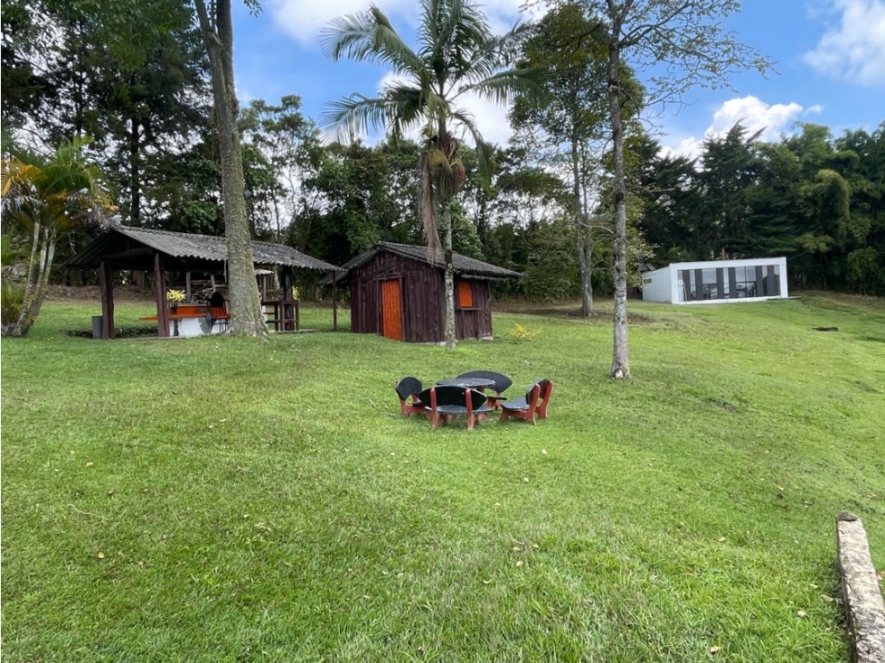 VENTA FINCA FREDONIA SUROESTE ANTIOQUEÑO - 2