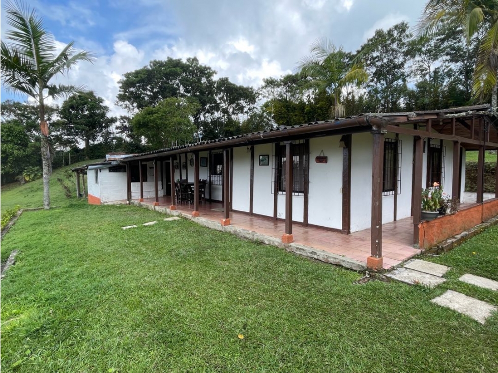 VENTA FINCA FREDONIA SUROESTE ANTIOQUEÑO - 3