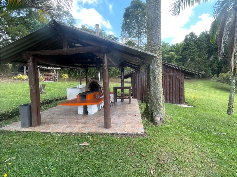 VENTA FINCA FREDONIA SUROESTE ANTIOQUEÑO - 4