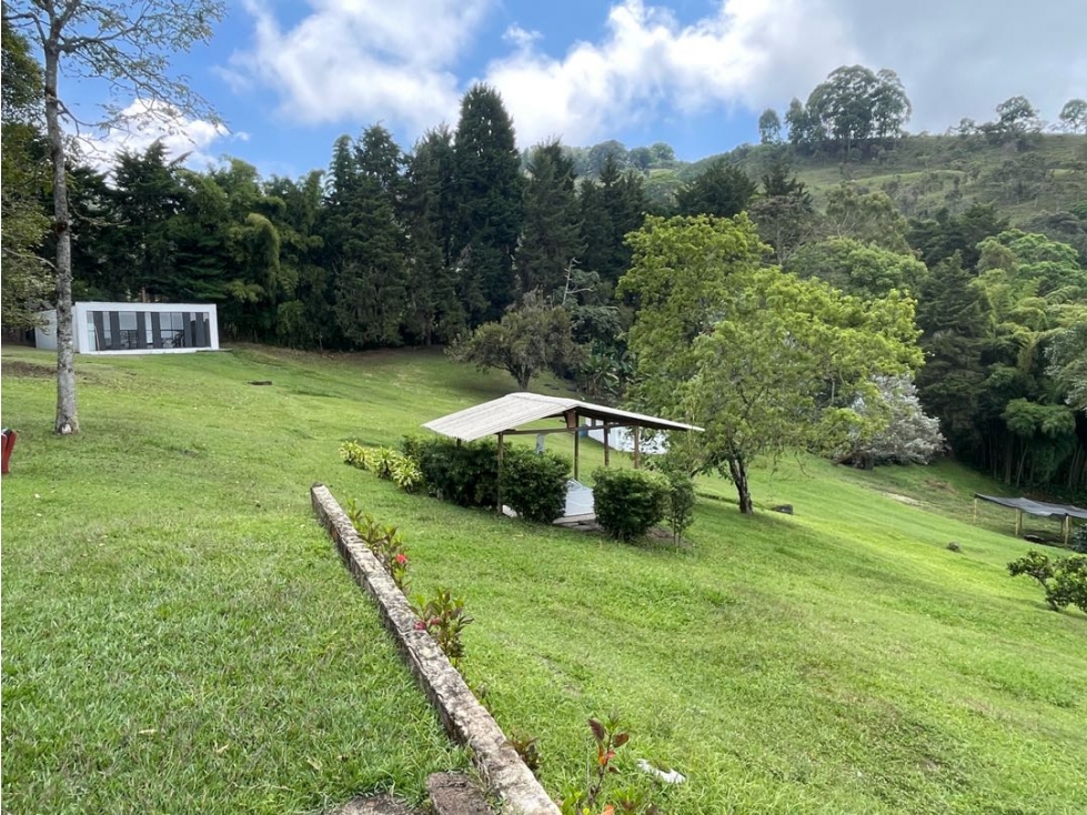 VENTA FINCA FREDONIA SUROESTE ANTIOQUEÑO - 5