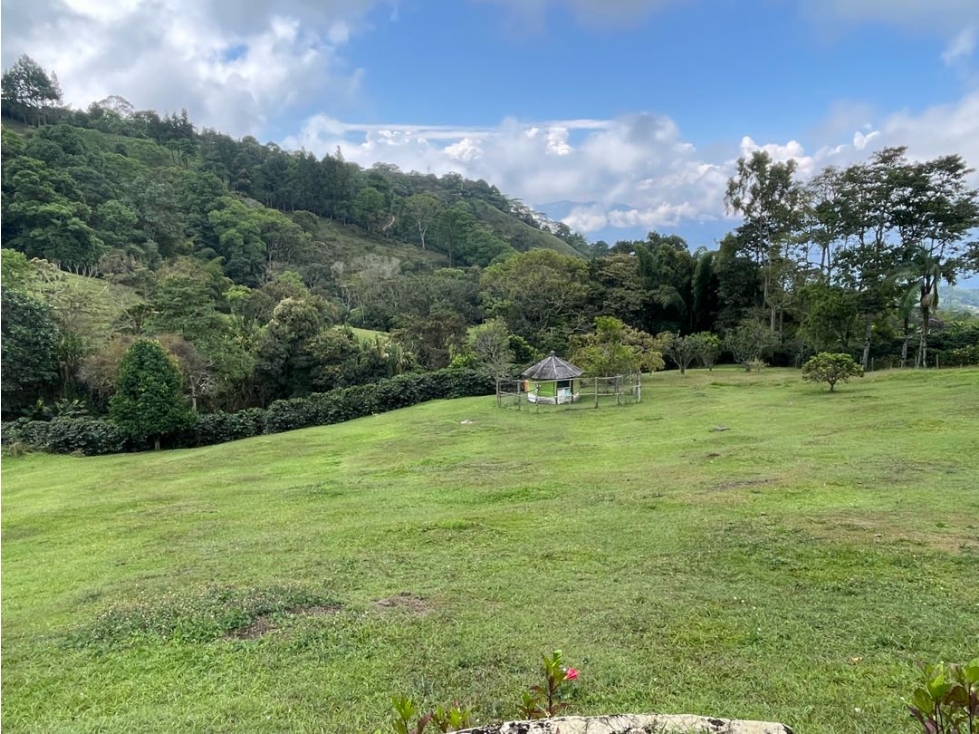 VENTA FINCA FREDONIA SUROESTE ANTIOQUEÑO - 6