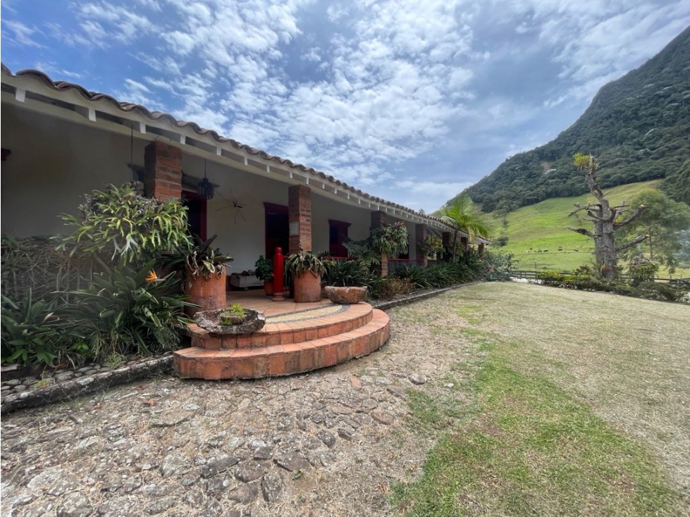 VENTA FINCA FREDONIA SUROESTE ANTIOQUEÑO - 1