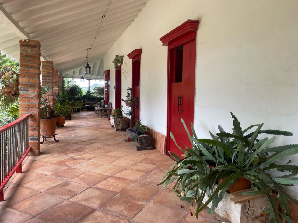 VENTA FINCA FREDONIA SUROESTE ANTIOQUEÑO - 2