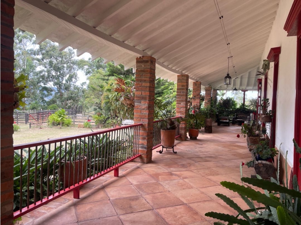 VENTA FINCA FREDONIA SUROESTE ANTIOQUEÑO - 3