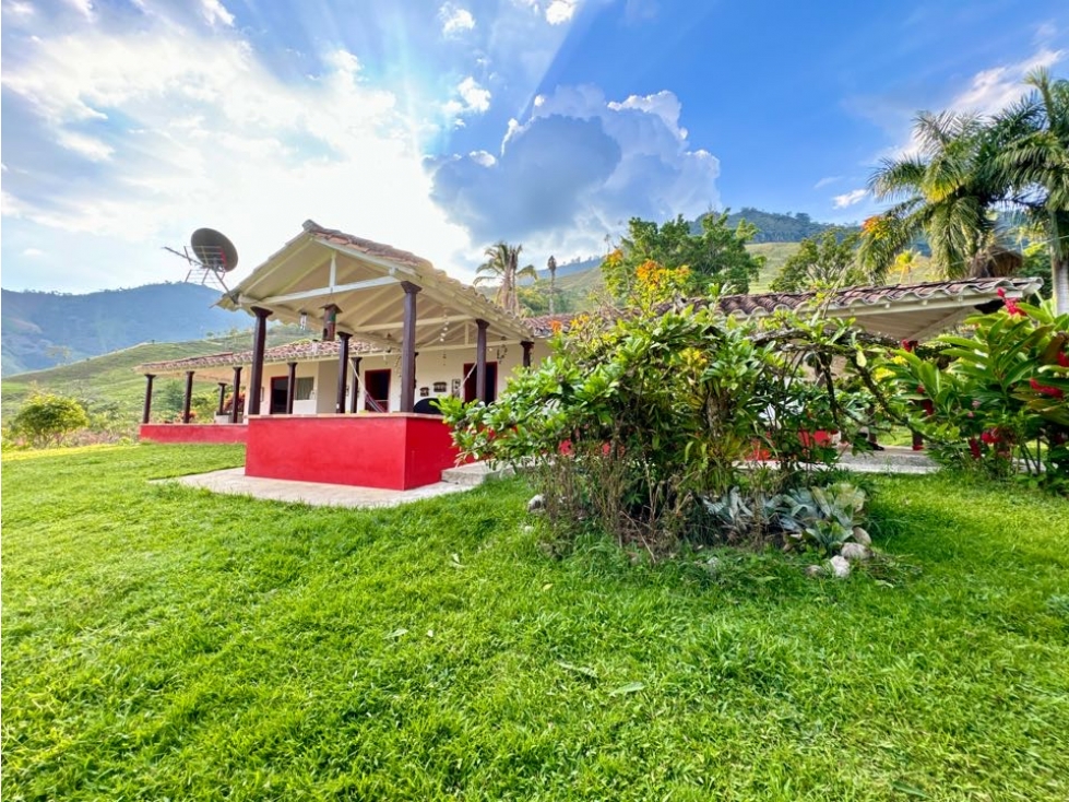 VENTA FINCA GANADERA CONCORDIA - 2
